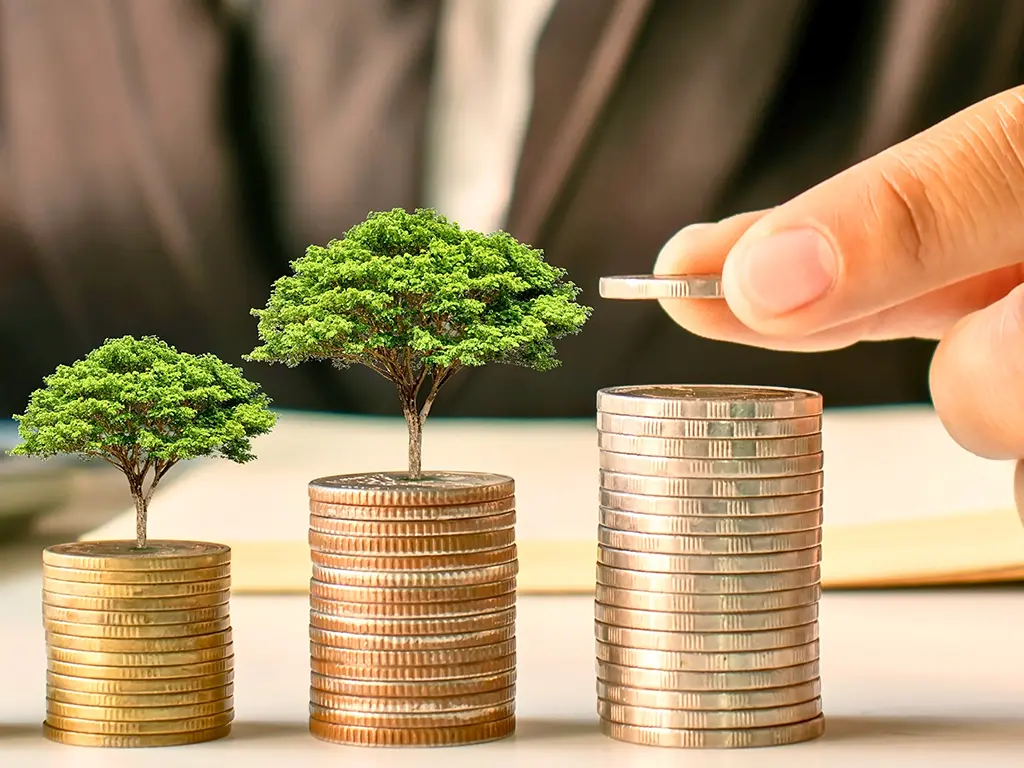 Startseite 5 Steuergestaltung Halle Saale