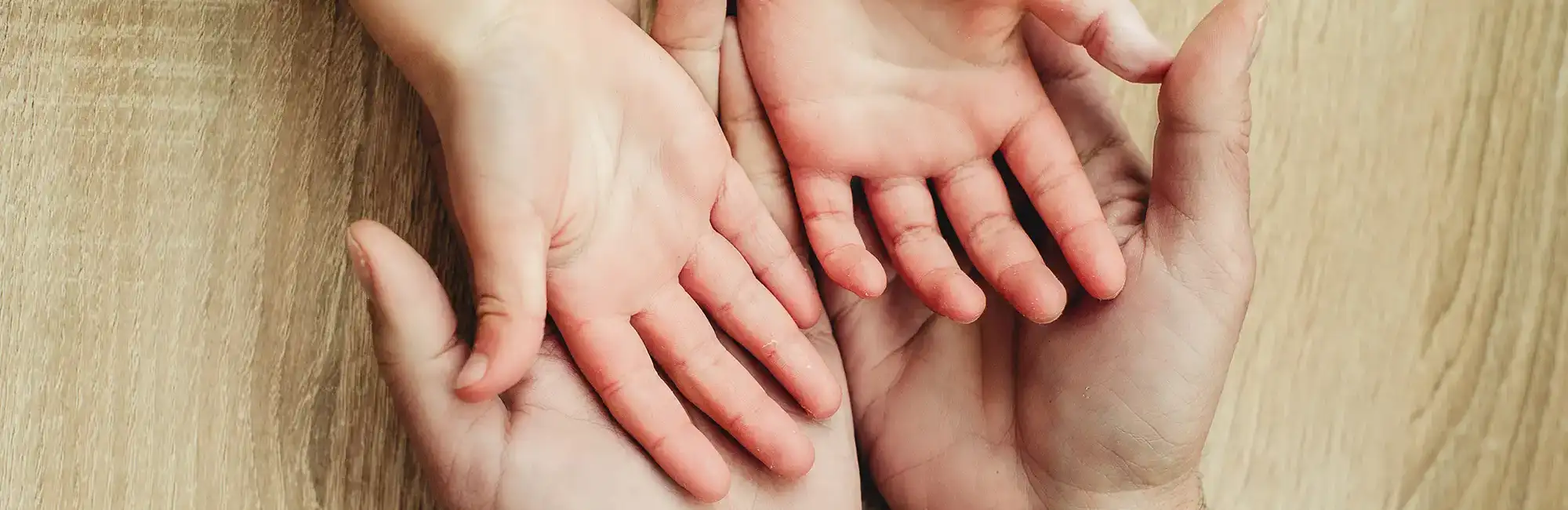 Erben und Schenken Halle Saale