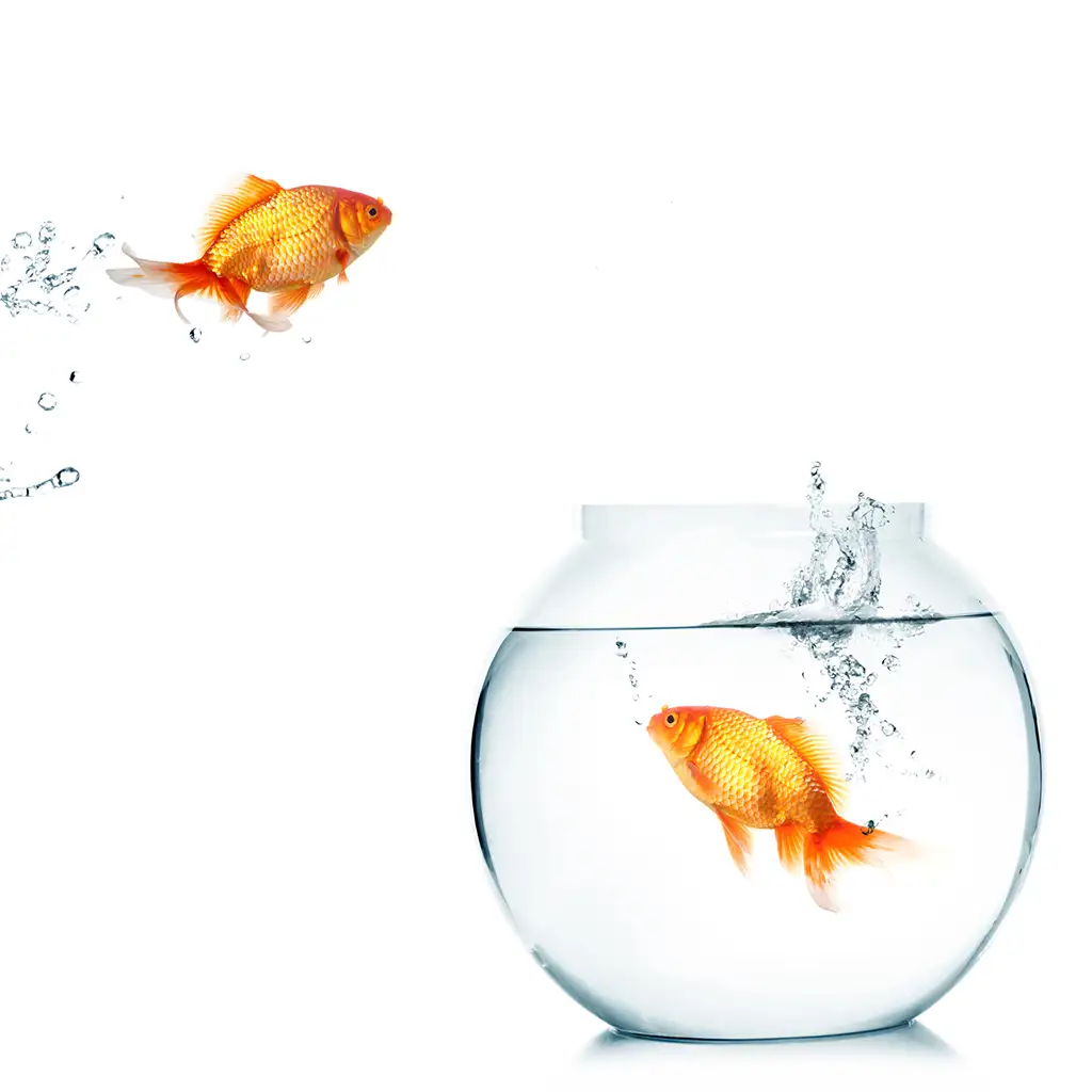 fibelio® Unternehmer Campus – FUC*Steuern