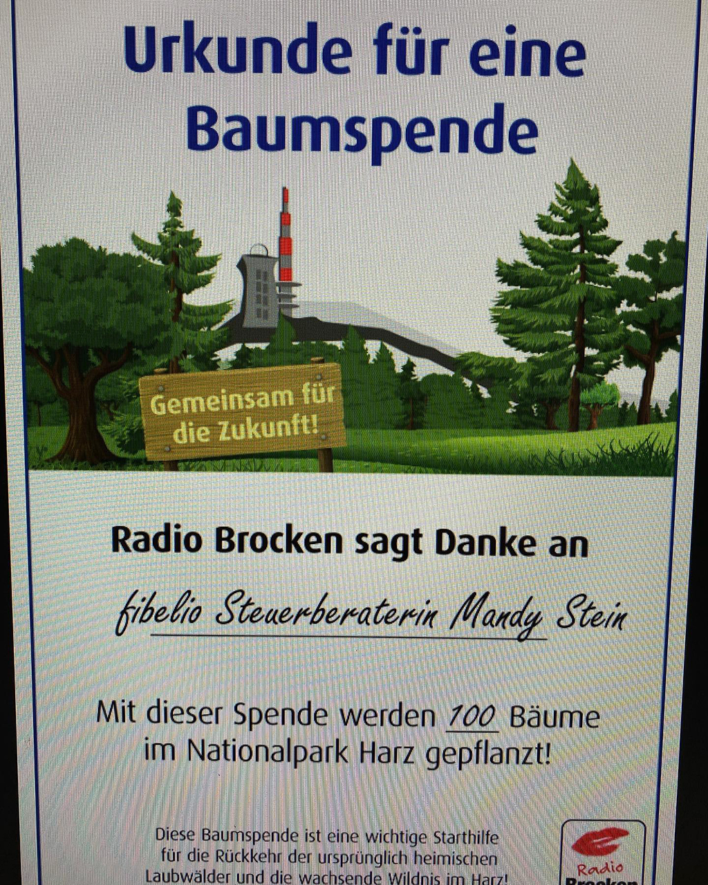 blog_baumspende_2